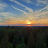 Закат с лесной панорамой 360